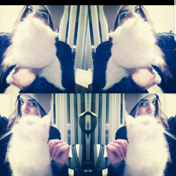 Meet your Posher, Frankie - Picture 1 of 1